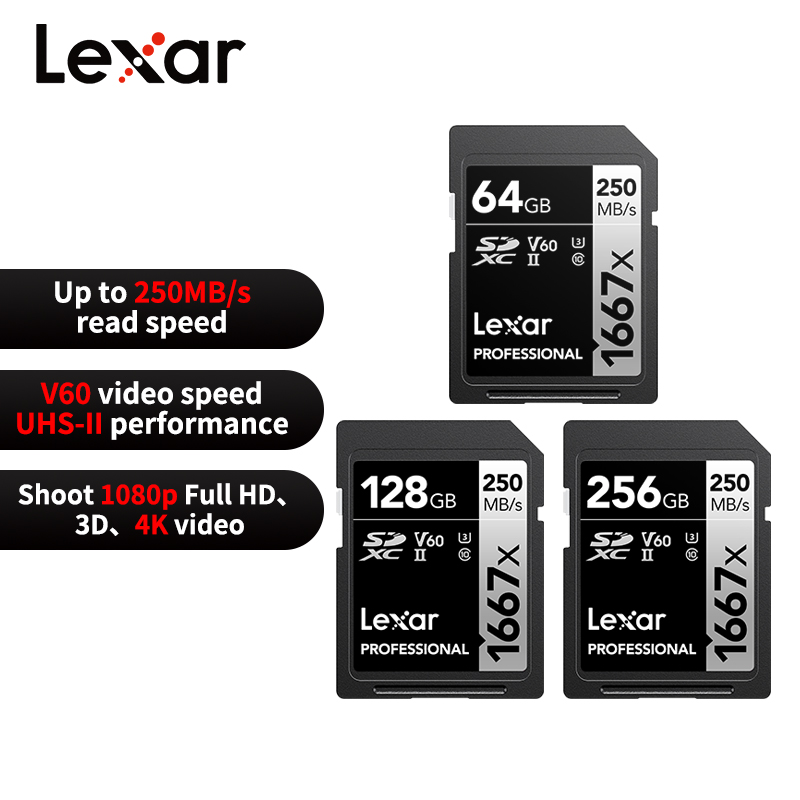 Memory Card Ssd - Scheda SD Professionale Lexar 1667x 64GB