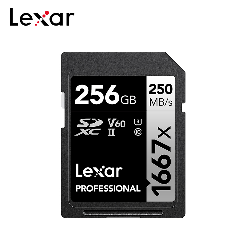 Scheda SD Professionale Lexar  - Memory Card Ssd recensione e prezzo